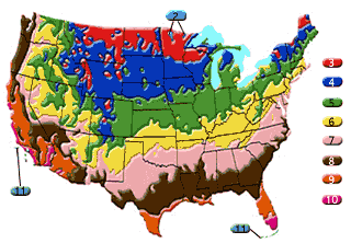 USDA hardiness zone map