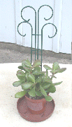 Scroll pot mini trellis