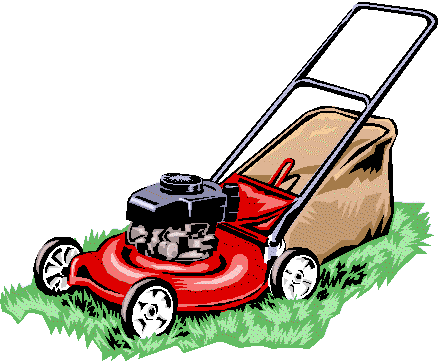 "Easy-Care Lawns and Groundcovers"