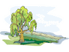 "Trees & Shrubs for Home Landscapes"